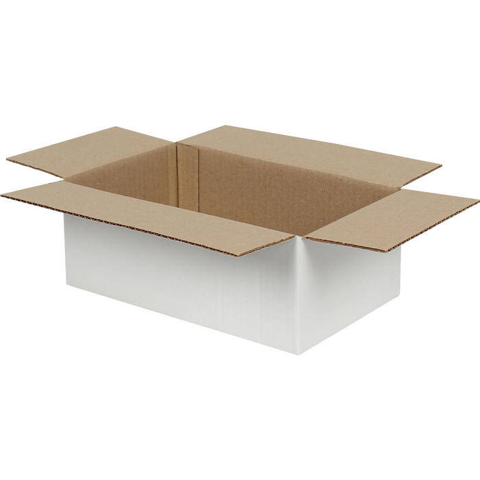 25x15x10cm Koli - 1,3 Desi Koli - Tek Oluklu Koli - Beyaz - 2