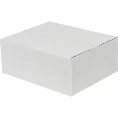 25x20x10cm Koli - 1,7 Desi Koli - Tek Oluklu Koli - Beyaz - 1