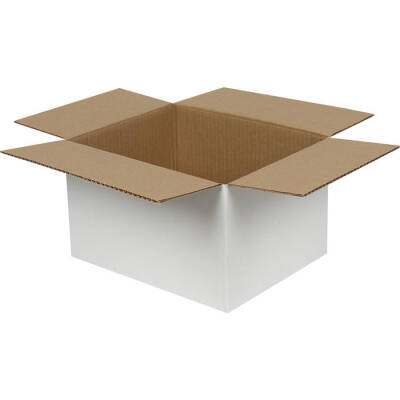 25x20x15cm Koli - 2,5 Desi Koli - Tek Oluklu Beyaz Koli - 1