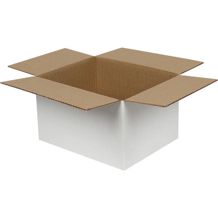 25x20x15cm Koli - 2,5 Desi Koli - Tek Oluklu Beyaz Koli - 1